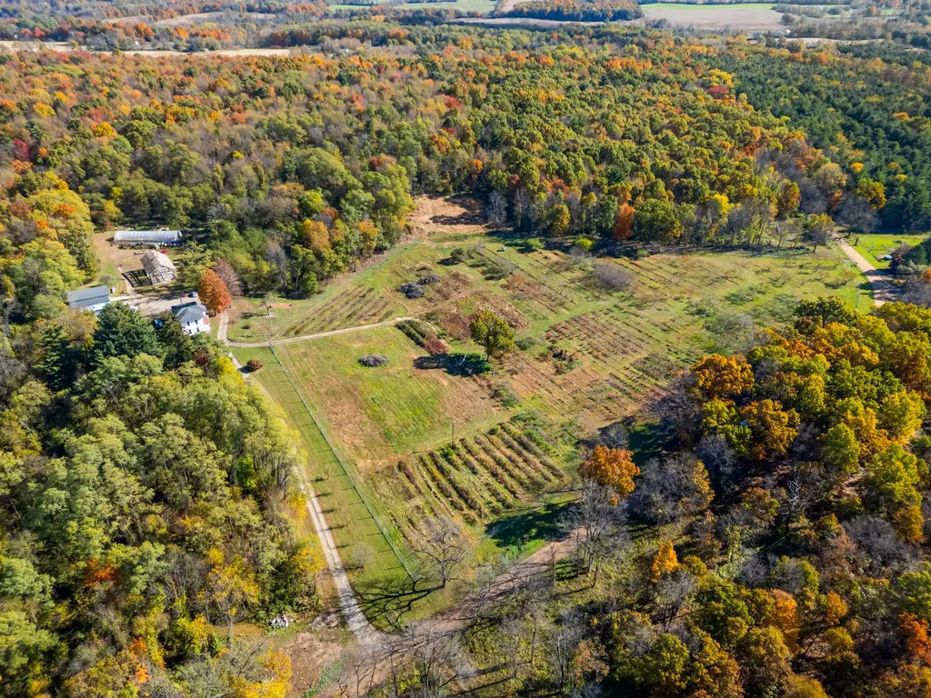 4680 Fitzpatrick Road Fayette Township MI 49242