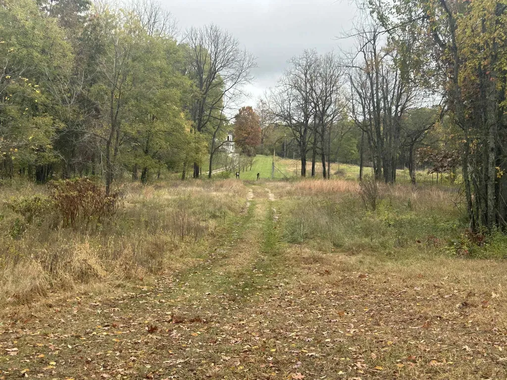 4680 Fitzpatrick Road Fayette Township MI 49242