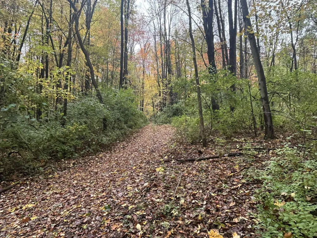 4680 Fitzpatrick Road Fayette Township MI 49242
