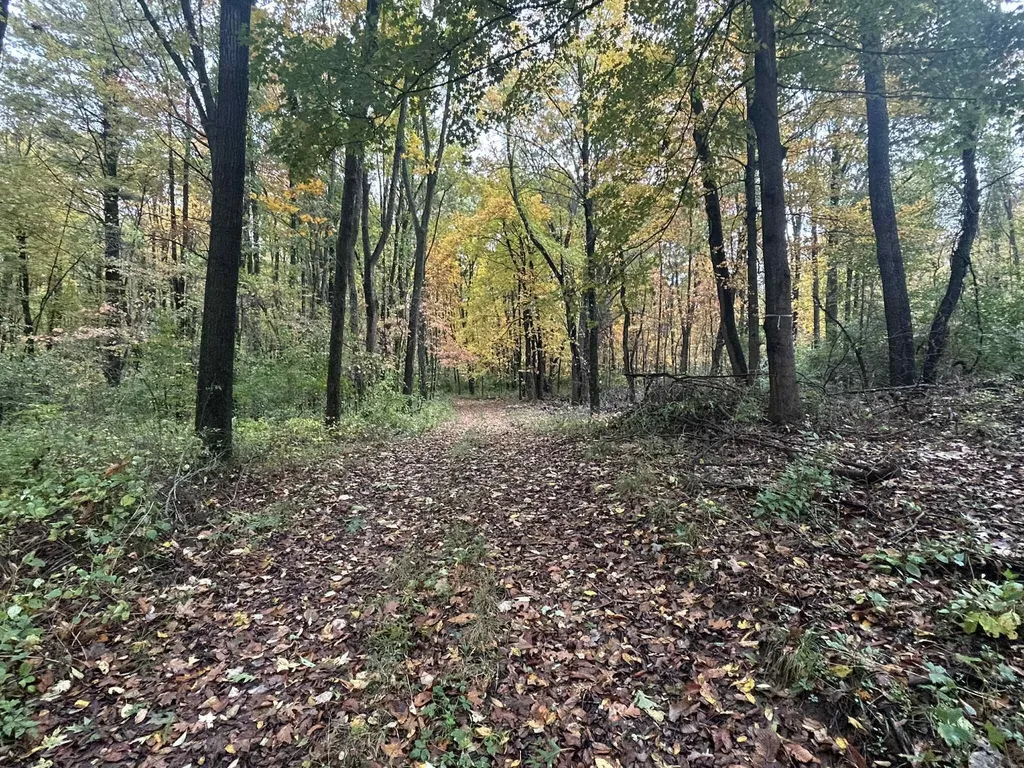 4680 Fitzpatrick Road Fayette Township MI 49242