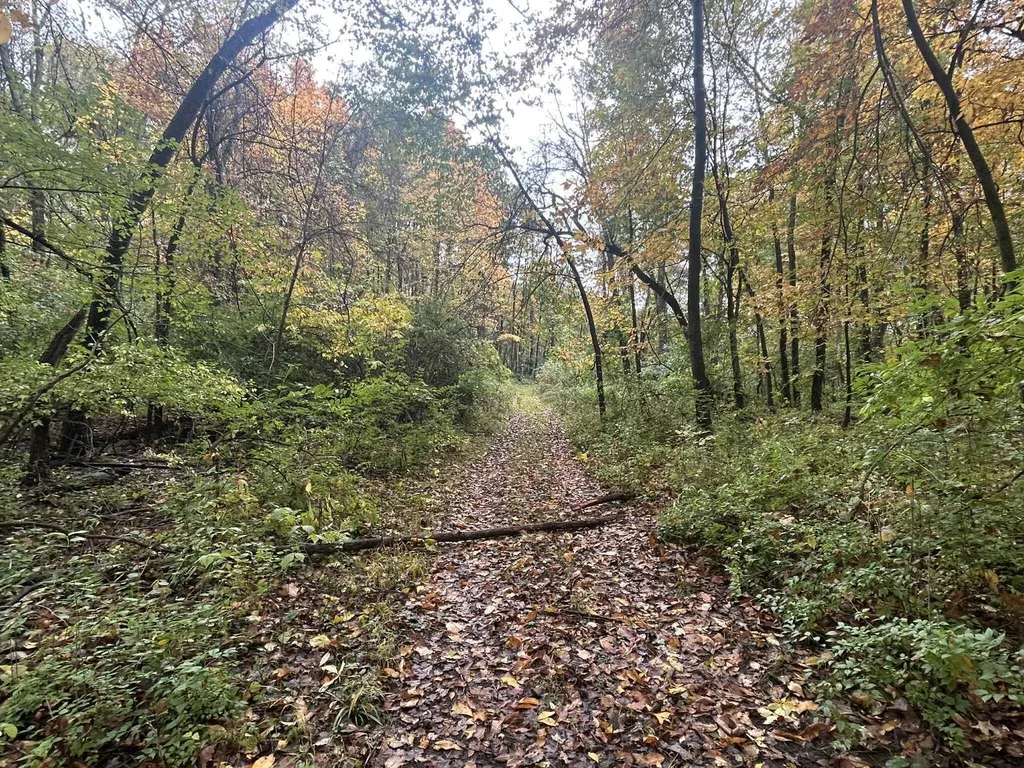 4680 Fitzpatrick Road Fayette Township MI 49242