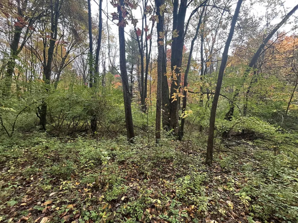 4680 Fitzpatrick Road Fayette Township MI 49242