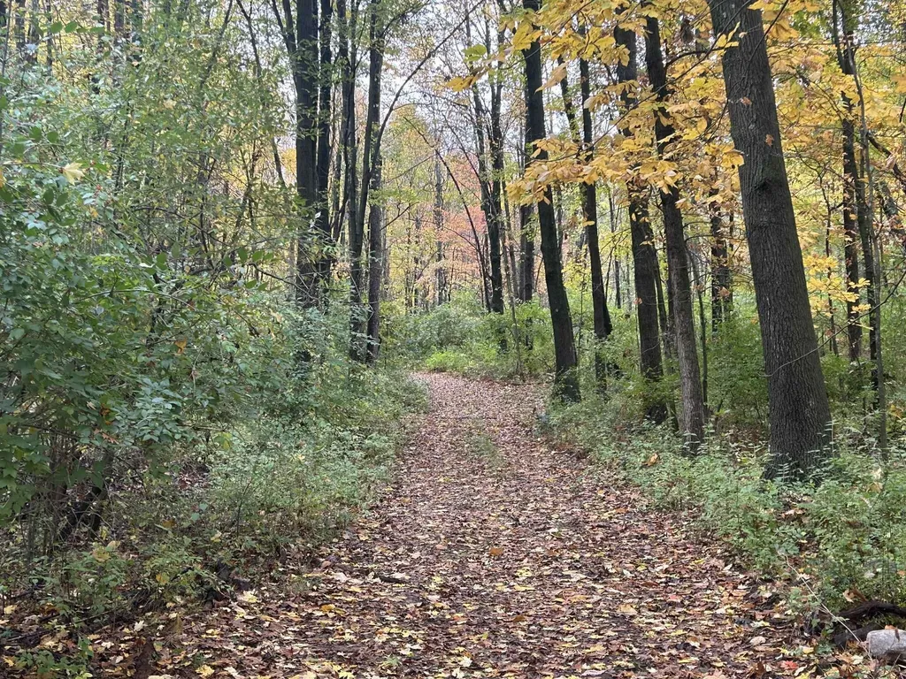4680 Fitzpatrick Road Fayette Township MI 49242