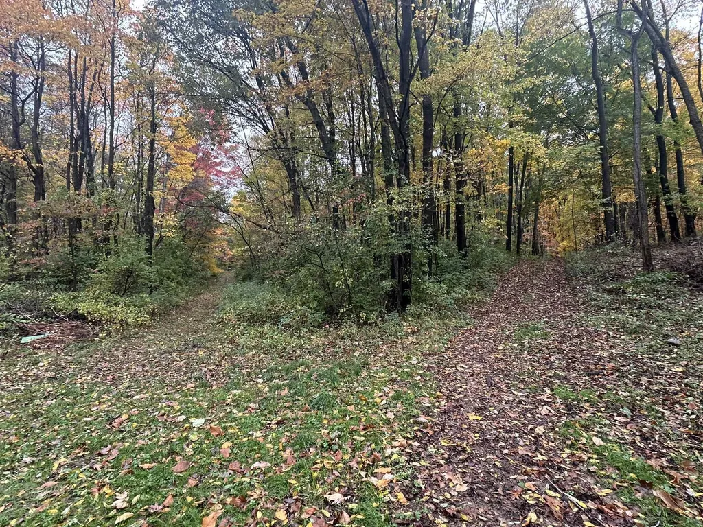 4680 Fitzpatrick Road Fayette Township MI 49242