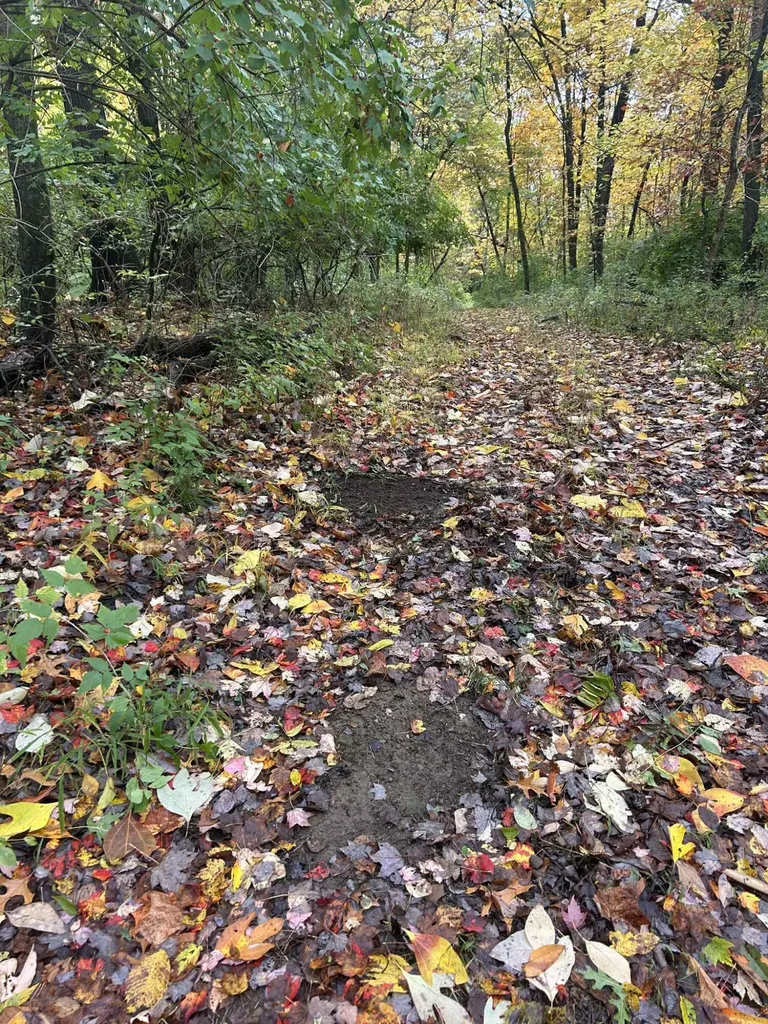 4680 Fitzpatrick Road Fayette Township MI 49242