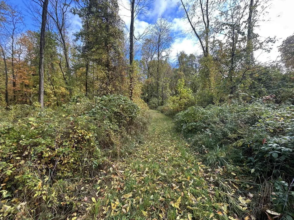 4680 Fitzpatrick Road Fayette Township MI 49242