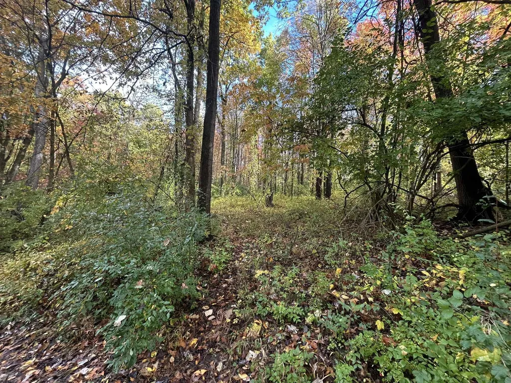 4680 Fitzpatrick Road Fayette Township MI 49242