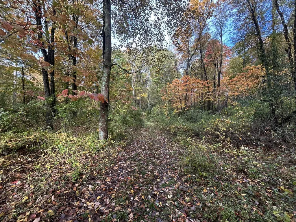 4680 Fitzpatrick Road Fayette Township MI 49242