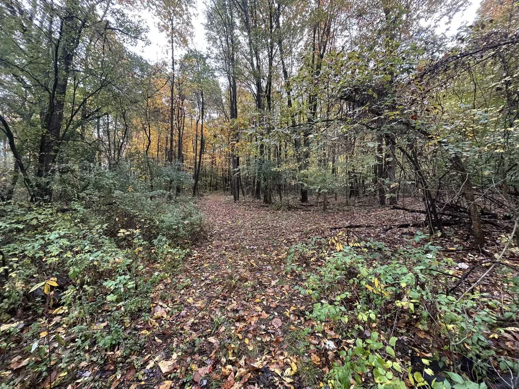 4680 Fitzpatrick Road Fayette Township MI 49242