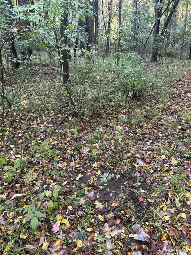 4680 Fitzpatrick Road Fayette Township MI 49242