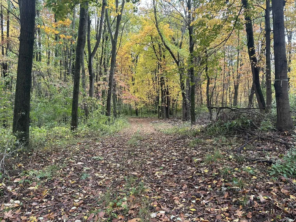 4680 Fitzpatrick Road Fayette Township MI 49242