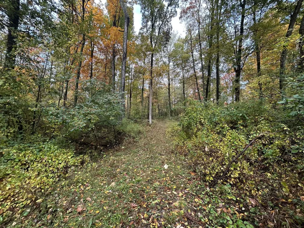 4680 Fitzpatrick Road Fayette Township MI 49242
