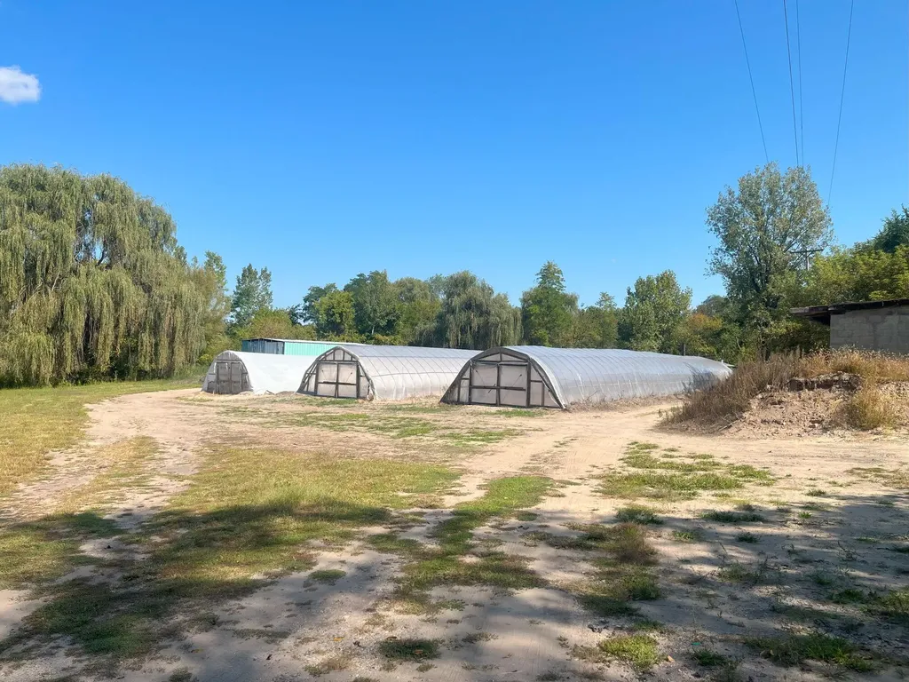 5073 Coit Avenue NE Plainfield Charter Township MI 49525