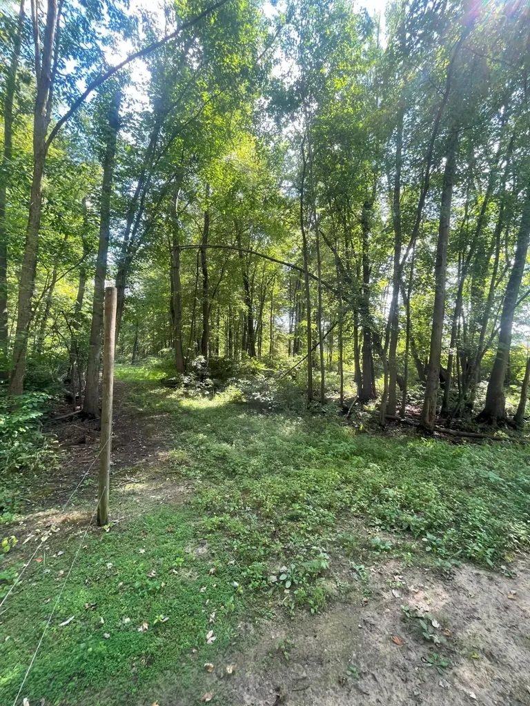 5073 Coit Avenue NE Plainfield Charter Township MI 49525