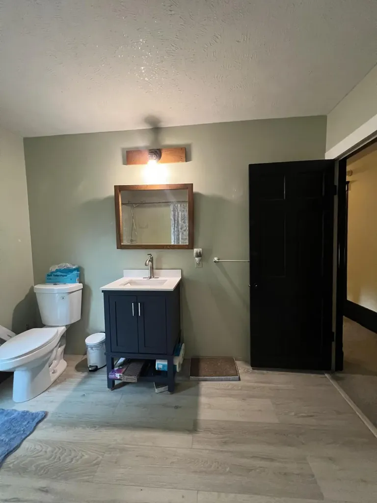114 W Leigh Street Homer Village MI 49245