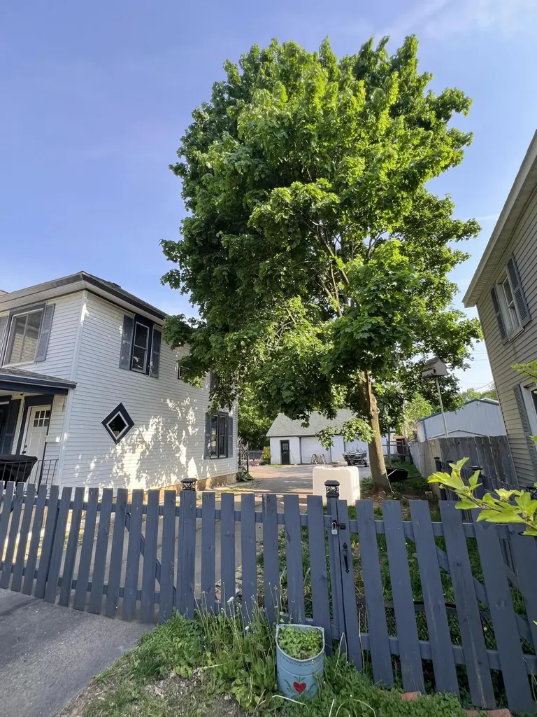 114 W Leigh Street Homer Village MI 49245