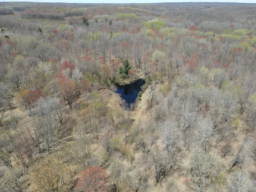 11401 Little George Lake Road Franklin Township MI 48624