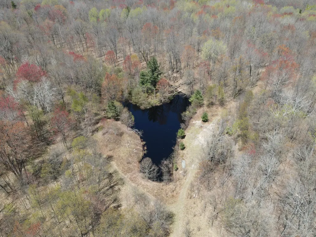 11401 Little George Lake Road Franklin Township MI 48624