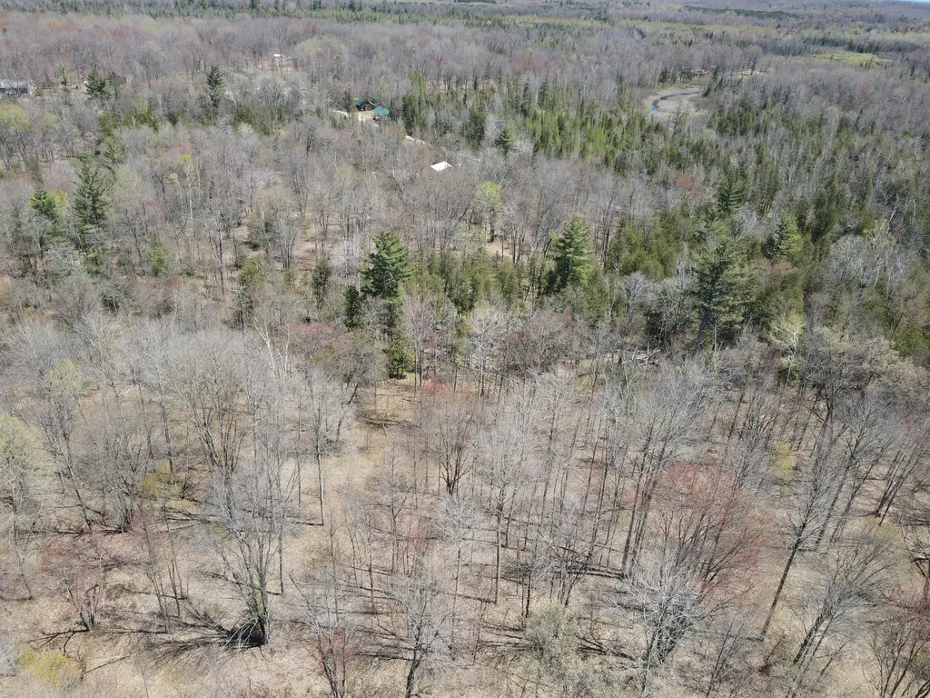 11401 Little George Lake Road Franklin Township MI 48624