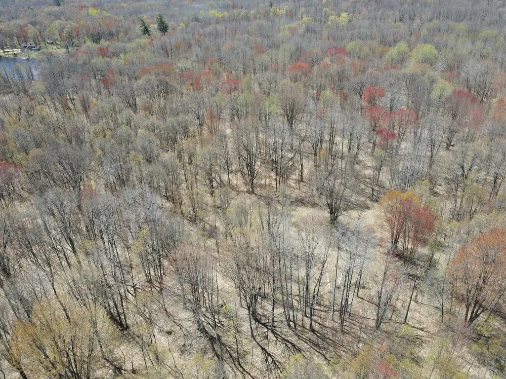 11401 Little George Lake Road Franklin Township MI 48624