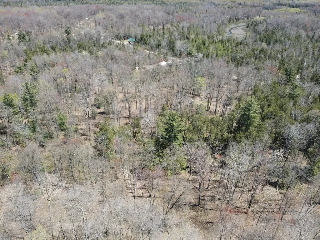 11401 Little George Lake Road Franklin Township MI 48624