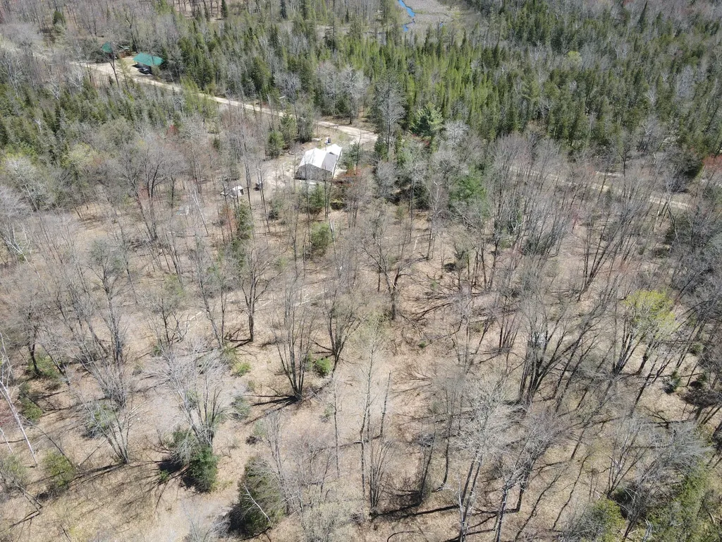 11401 Little George Lake Road Franklin Township MI 48624