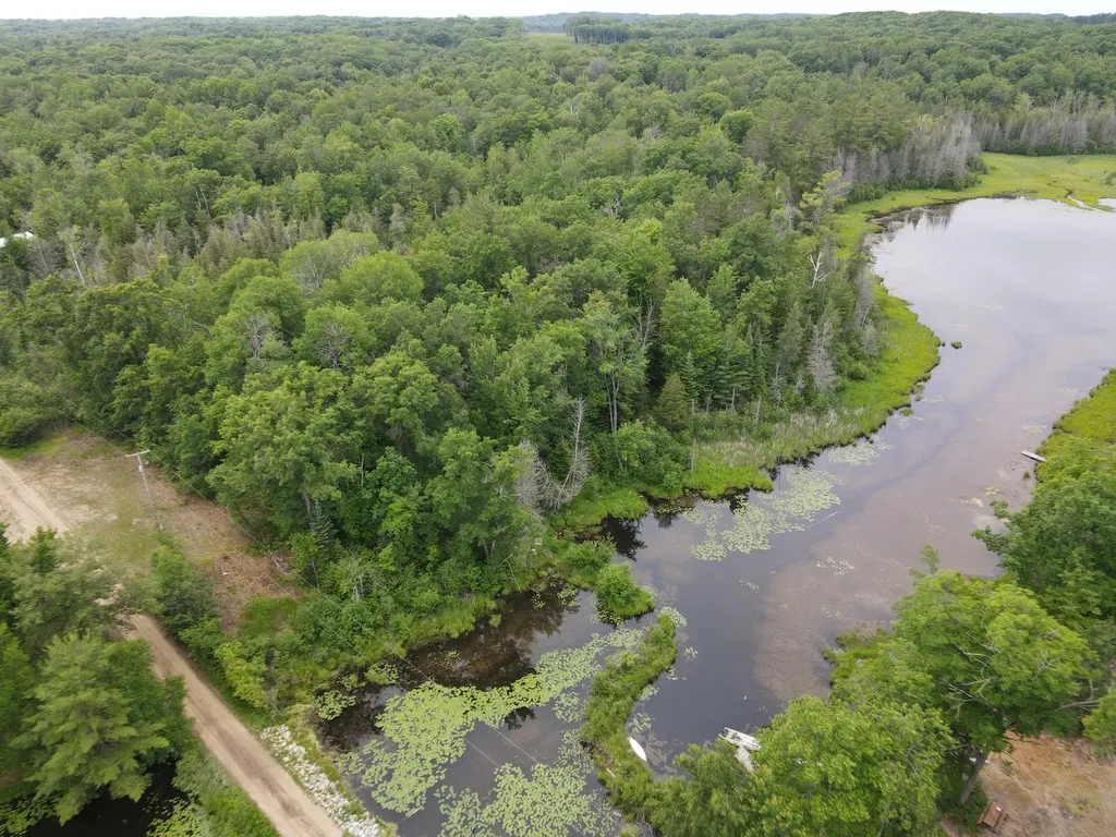 11401 Little George Lake Road Franklin Township MI 48624