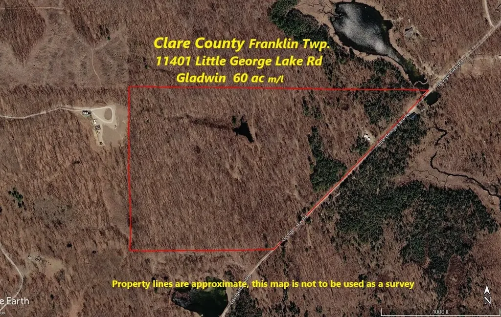 11401 Little George Lake Road Franklin Township MI 48624