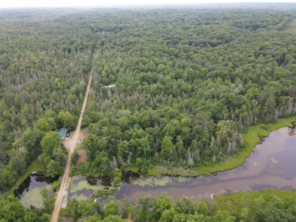 11401 Little George Lake Road Franklin Township MI 48624