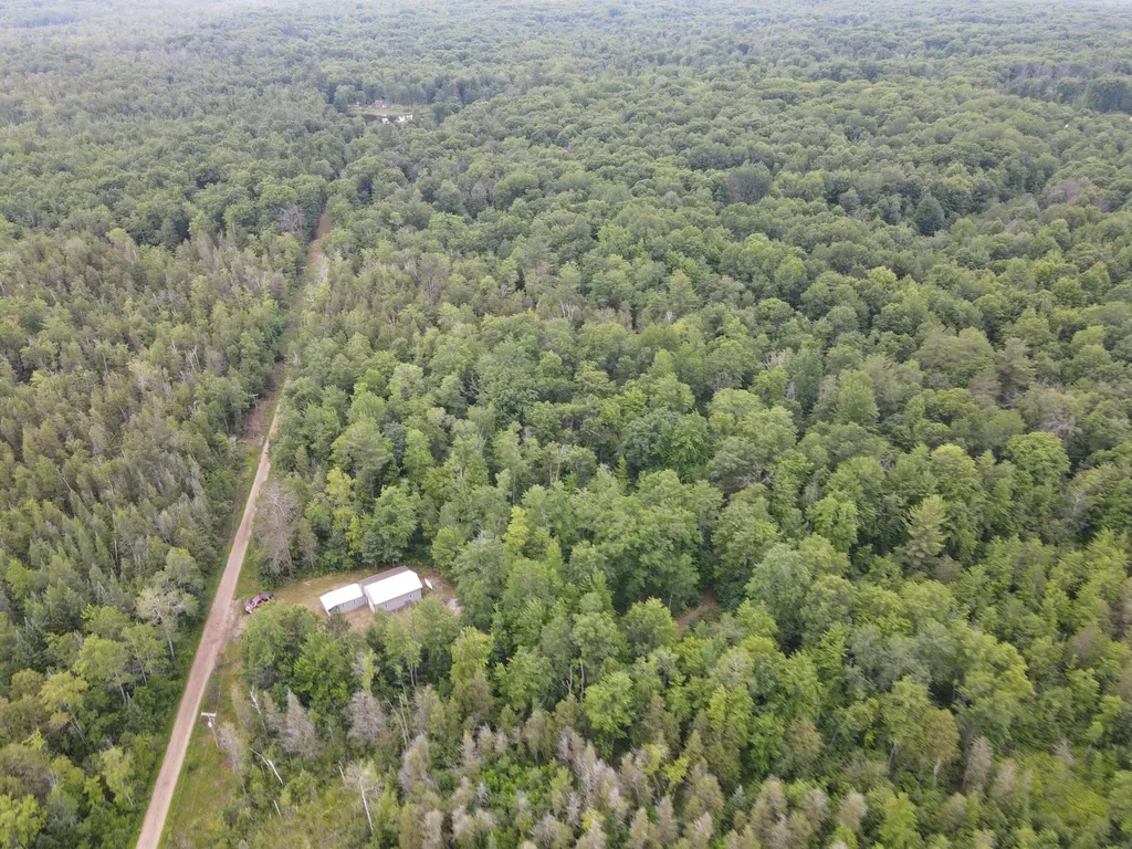 11401 Little George Lake Road Franklin Township MI 48624