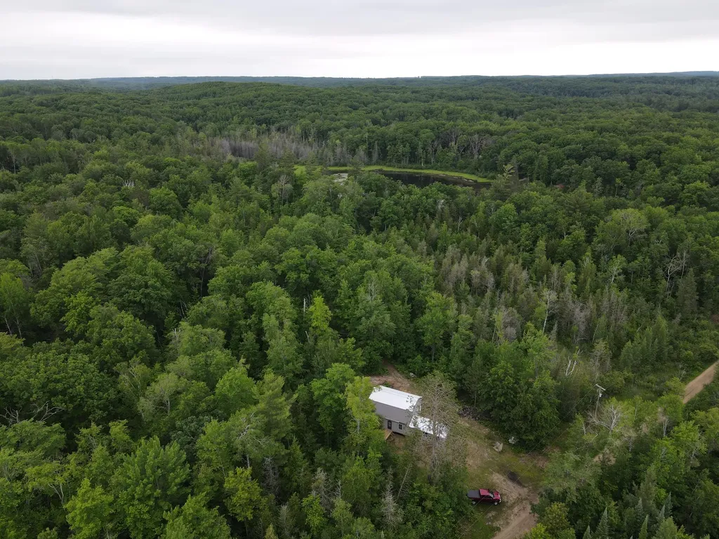 11401 Little George Lake Road Franklin Township MI 48624