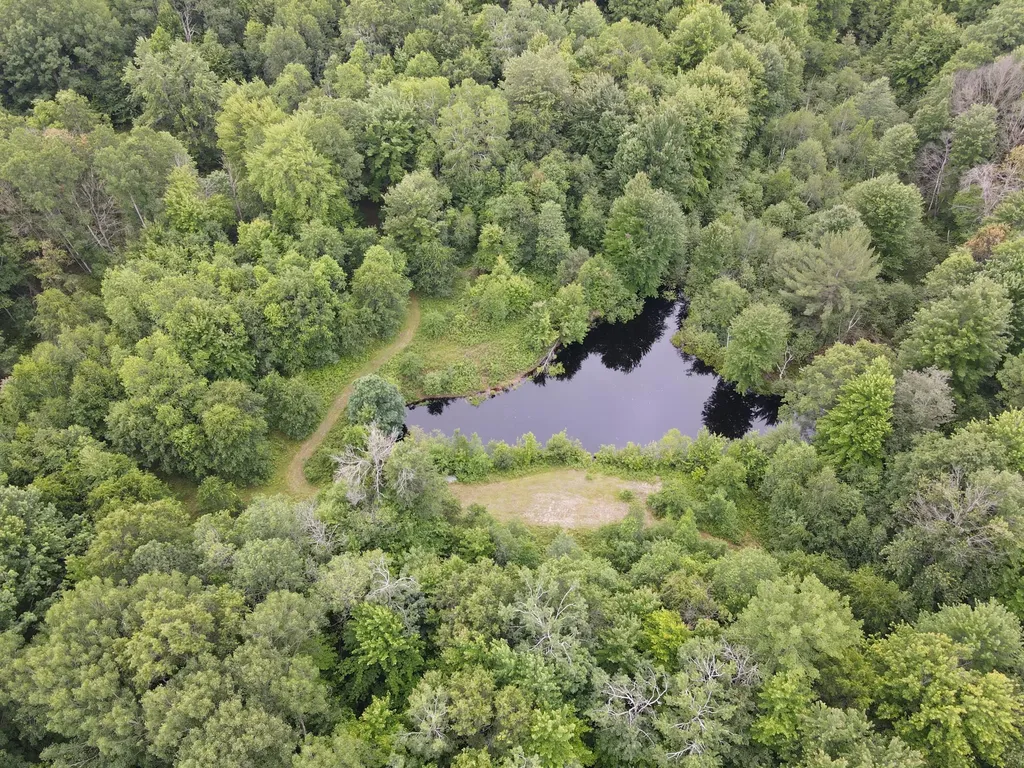 11401 Little George Lake Road Franklin Township MI 48624