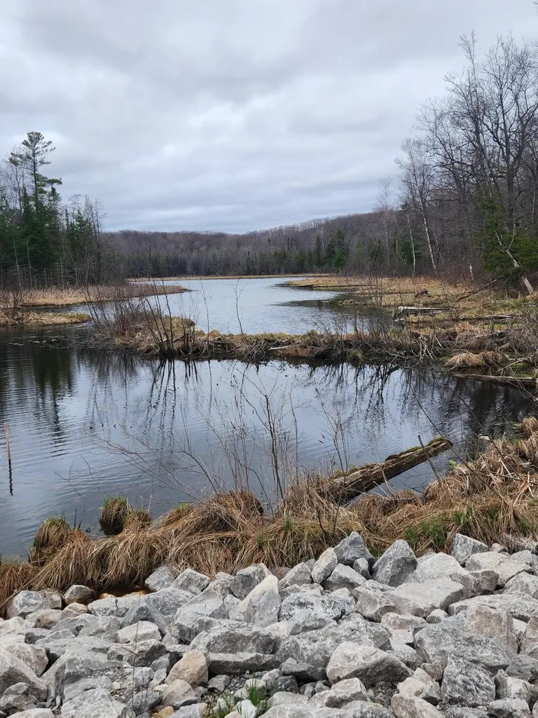 11401 Little George Lake Road Franklin Township MI 48624
