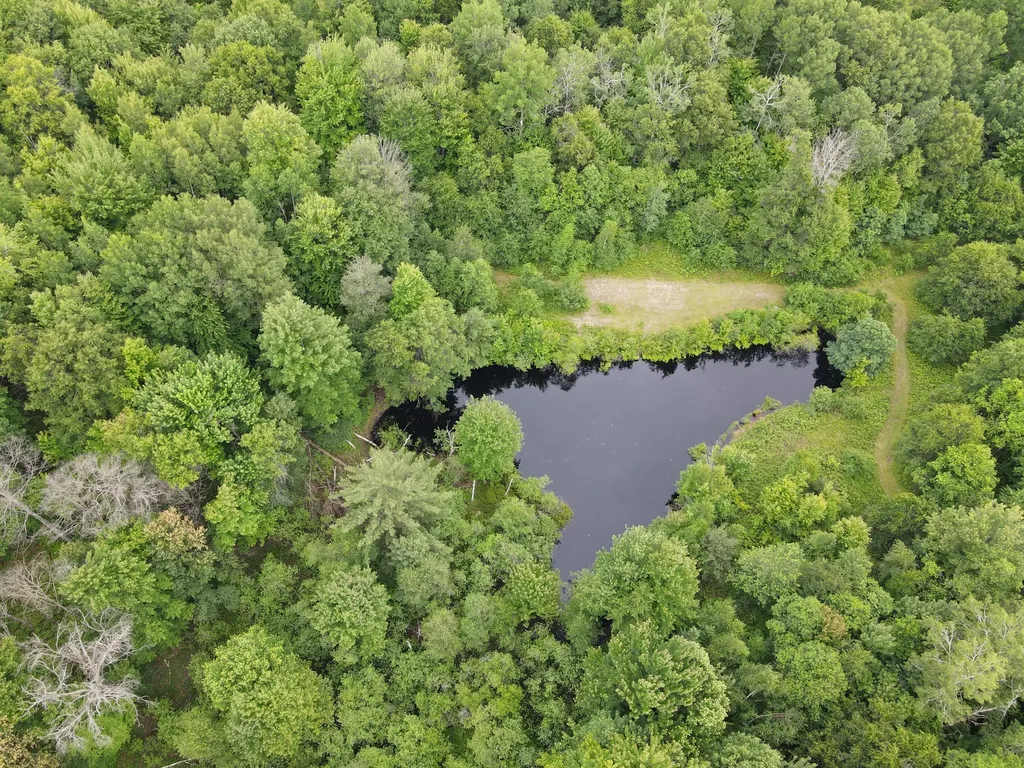 11401 Little George Lake Road Franklin Township MI 48624