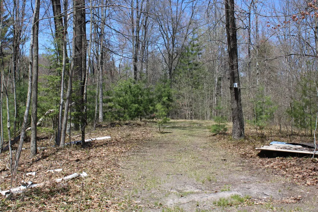 11401 Little George Lake Road Franklin Township MI 48624