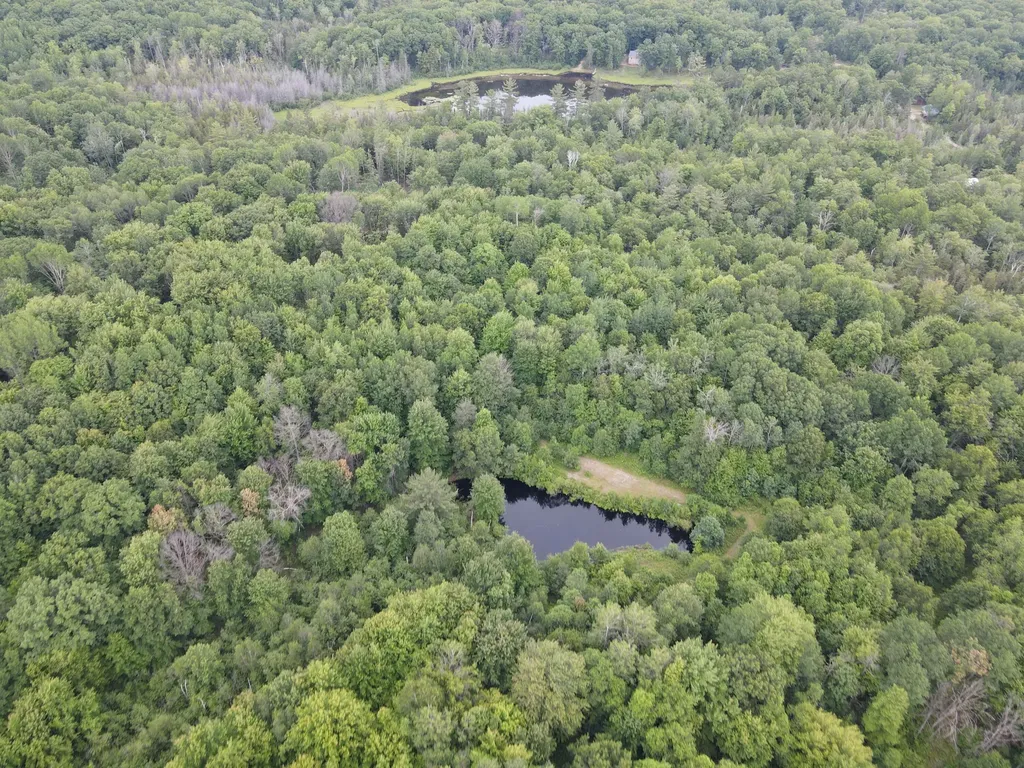 11401 Little George Lake Road Franklin Township MI 48624
