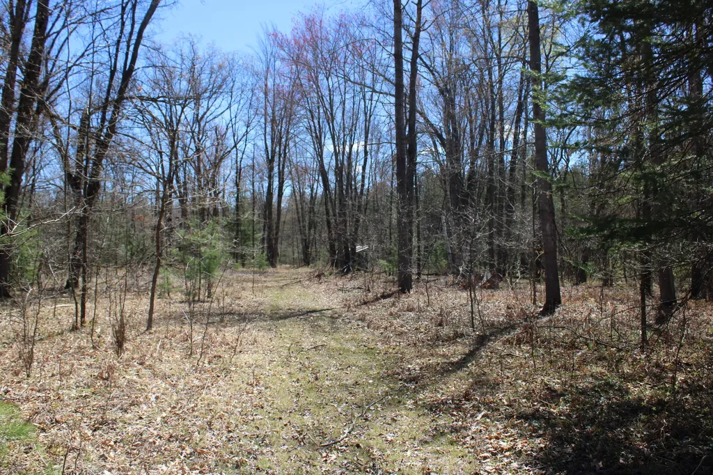11401 Little George Lake Road Franklin Township MI 48624