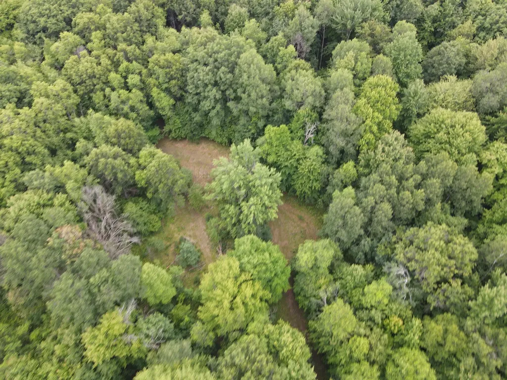 11401 Little George Lake Road Franklin Township MI 48624