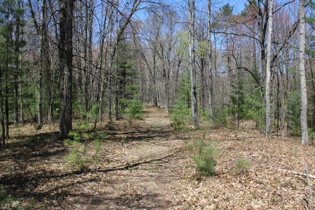 11401 Little George Lake Road Franklin Township MI 48624