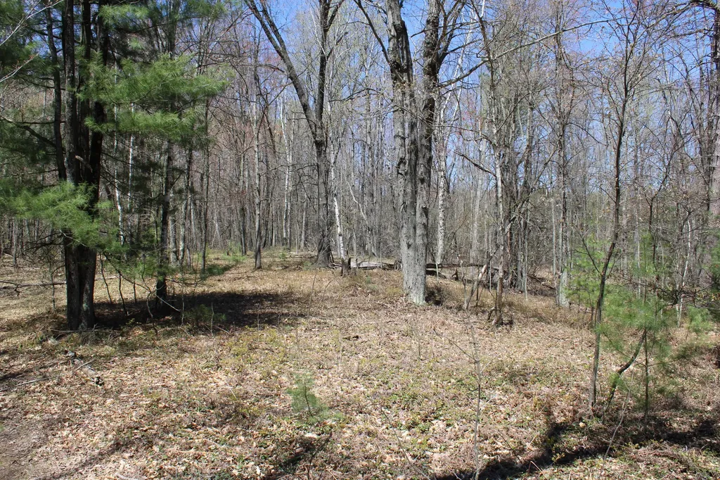11401 Little George Lake Road Franklin Township MI 48624