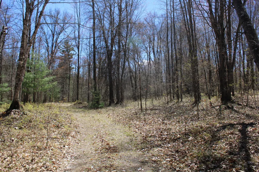 11401 Little George Lake Road Franklin Township MI 48624