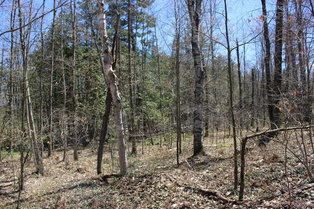 11401 Little George Lake Road Franklin Township MI 48624