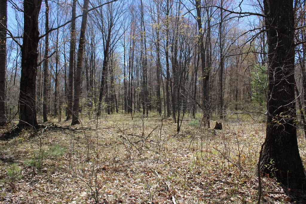 11401 Little George Lake Road Franklin Township MI 48624