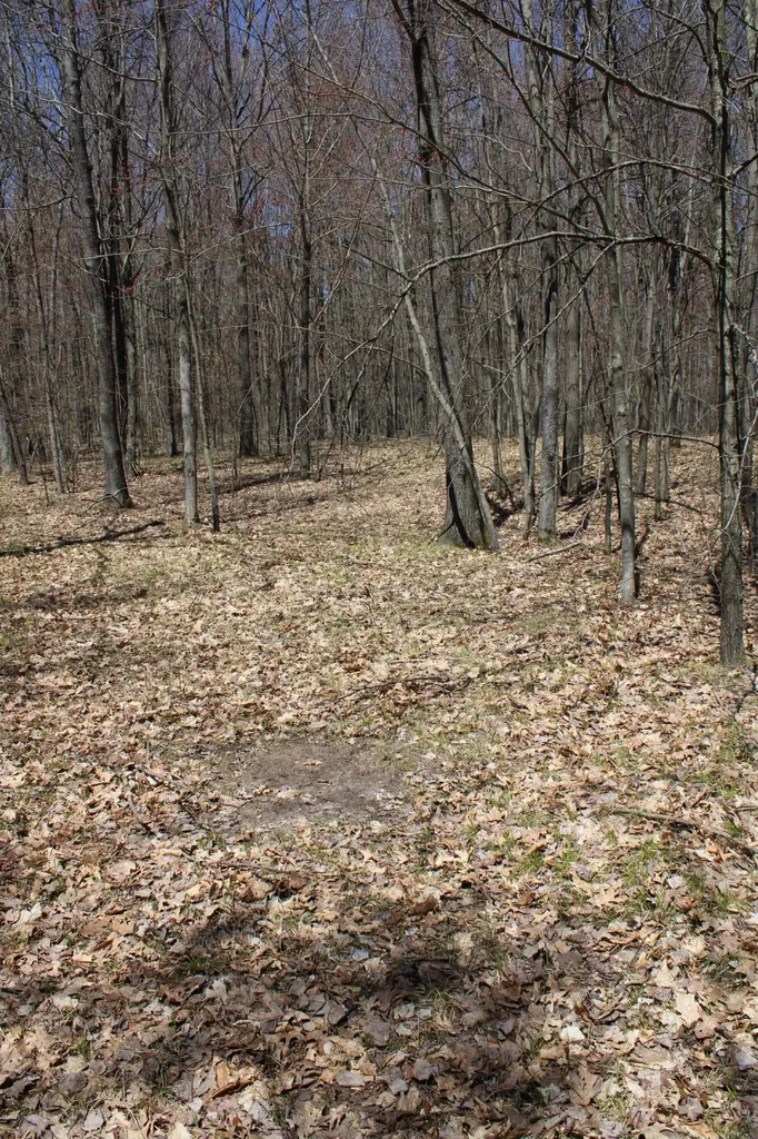 11401 Little George Lake Road Franklin Township MI 48624