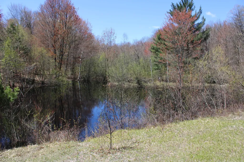 11401 Little George Lake Road Franklin Township MI 48624