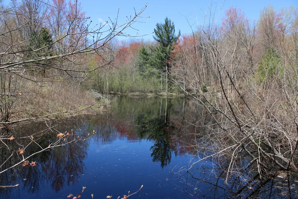 11401 Little George Lake Road Franklin Township MI 48624