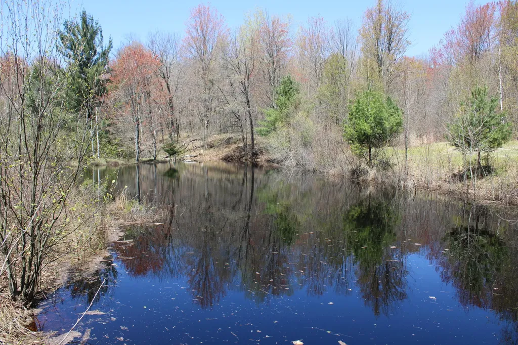 11401 Little George Lake Road Franklin Township MI 48624