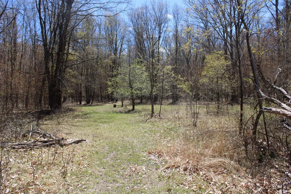 11401 Little George Lake Road Franklin Township MI 48624