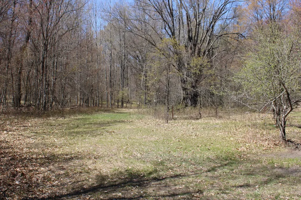 11401 Little George Lake Road Franklin Township MI 48624