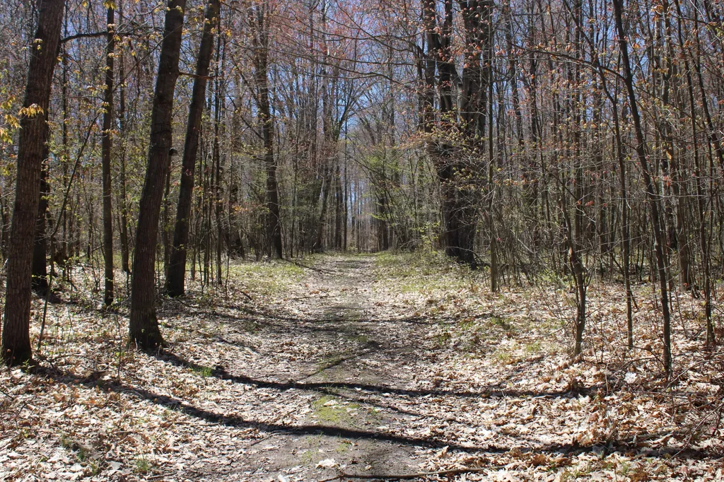 11401 Little George Lake Road Franklin Township MI 48624